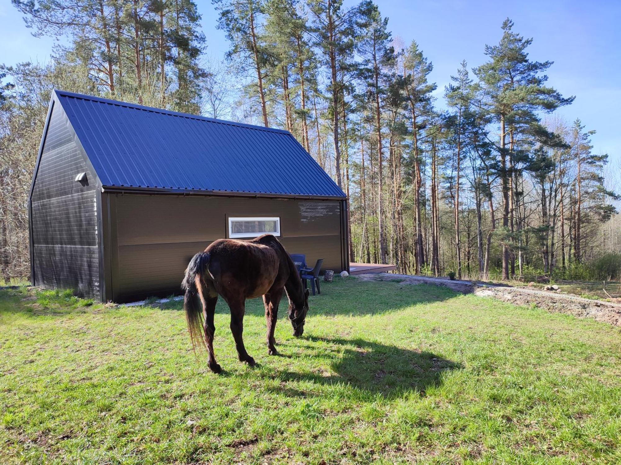 Modern Sauna Cabin In Horse Ranch Liyeplauke Екстериор снимка