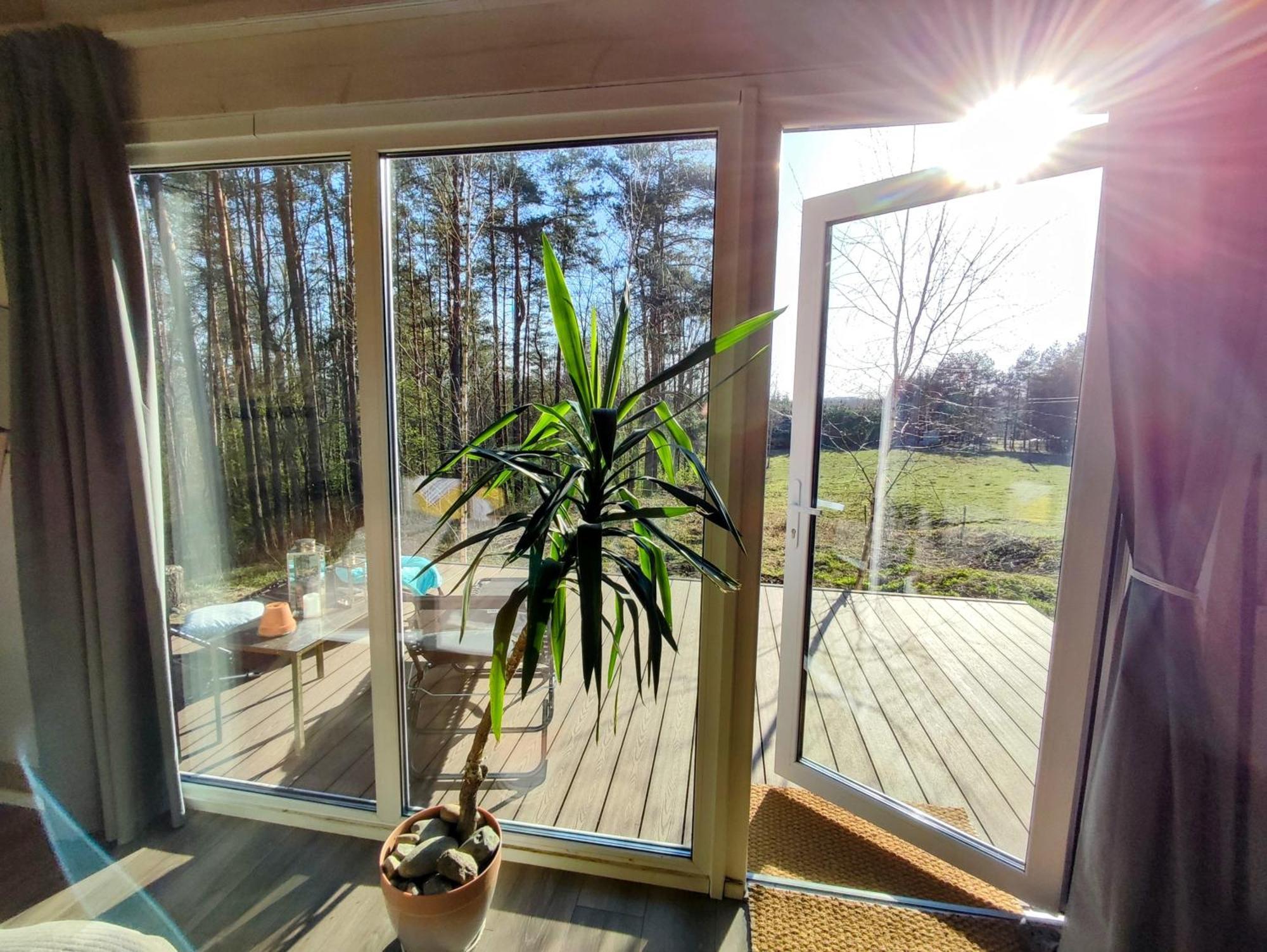Modern Sauna Cabin In Horse Ranch Liyeplauke Екстериор снимка